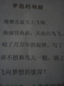 有關(guān)理想的作文開(kāi)頭,關(guān)于理想的作文開(kāi)頭和結尾,關(guān)于理想與信念的作文開(kāi)頭