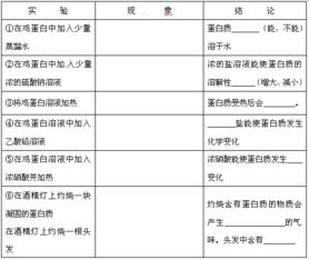 女西裝的實驗報告(女款西裝搭配)