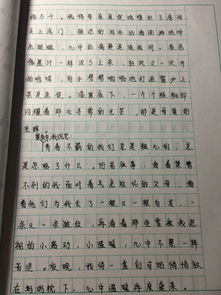初二萬(wàn)能記敘作文開頭