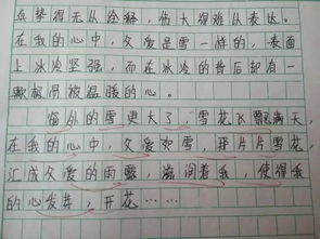 美的作文的開頭結(jié)尾怎么寫作文