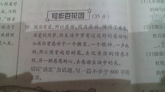 感謝挫折600字作文開(kāi)頭