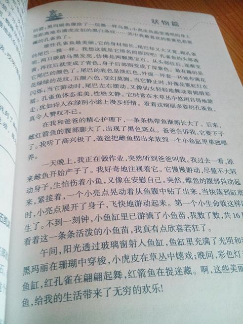 創(chuàng  )意描述作文開(kāi)頭