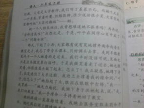 人間真情愛(ài)作文開(kāi)頭結尾