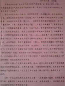 摘梨的樂(lè)趣作文開(kāi)頭