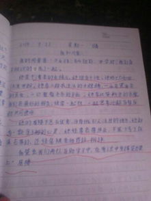 一個(gè)同學(xué)600字作文開(kāi)頭