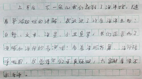 一次難忘的經(jīng)歷作文開(kāi)頭結尾長(cháng)