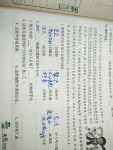 作文以修辭手法開(kāi)頭600