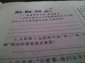 革命先烈的背影作文開(kāi)頭