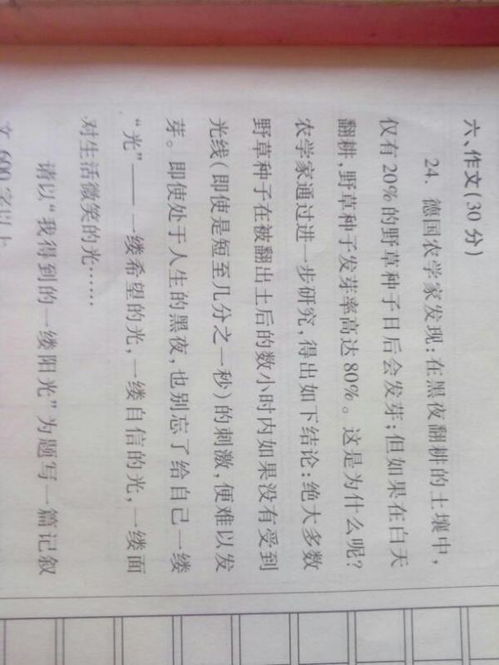 那一次我收獲了什么600字作文開(kāi)頭