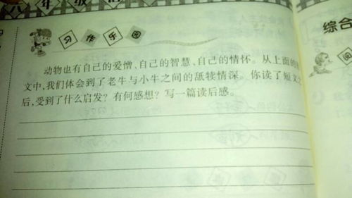 美麗的一角作文開(kāi)頭250字