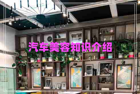 汽車(chē)美容知識介紹