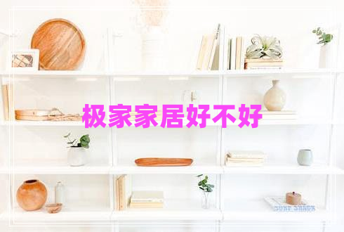 極家家居好不好