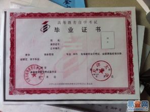 自考本科英語(yǔ)心路歷程