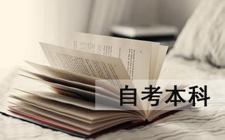 幼師自考本科文憑有用嗎
