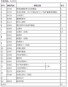 自考本科護理可以報考護士嗎