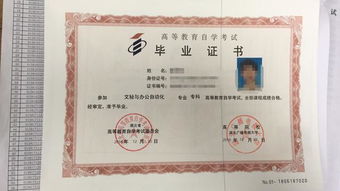 自考本科專(zhuān)業(yè)課程選擇