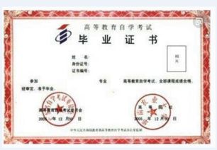 《財務(wù)會(huì )計與審計》專(zhuān)業(yè)自考本科