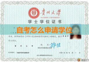 自考本科申請英美mba