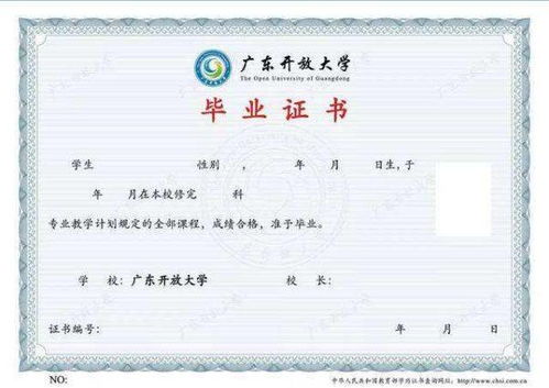 自考本科可以報名招教嗎