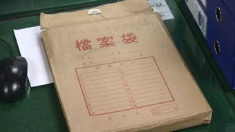 自考本科的檔案內容是什么