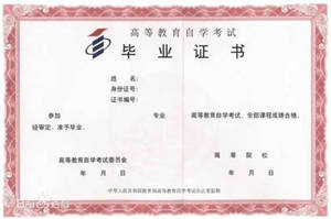 自考本科在讀無(wú)高中文憑英國留學(xué)
