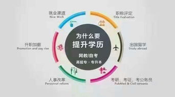 大專(zhuān)醫學(xué)自考別的本科有用嗎