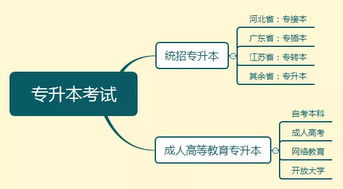專(zhuān)插本難度大還是自考本科