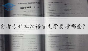 漢語(yǔ)言文學(xué)本科自考要考幾科