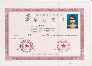 音樂(lè )教育有自考本科嗎