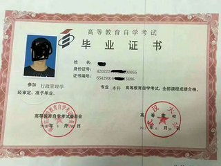 本科生參加自考本科有用嗎