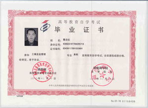 自考本科可以考什么公職
