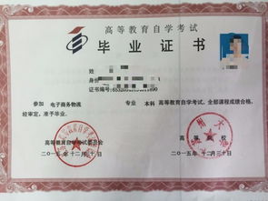 95大專(zhuān)畢業(yè)能報自考本科嗎