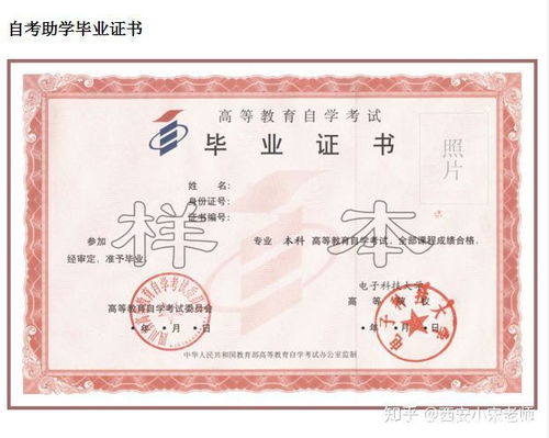 簡(jiǎn)歷大專(zhuān)和自考本科