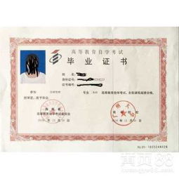 專(zhuān)升本簡(jiǎn)單還是自考本科簡(jiǎn)單