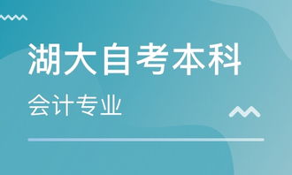 本科會(huì )計專(zhuān)業(yè)自考報名