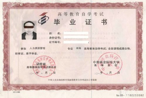 函授本科和自考本科證書(shū)區別