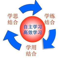 自考本科學(xué)習經(jīng)歷怎么寫(xiě)