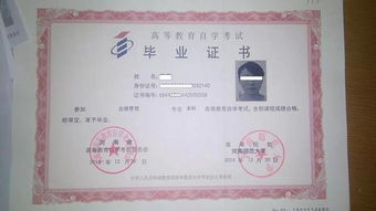 河南自考本科的學校有哪些
