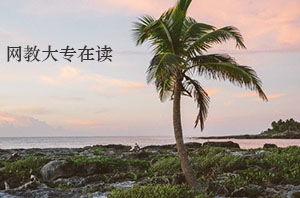 在讀?？粕梢詧?bào)自考本科段嗎