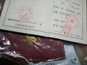 自考本科預防醫學(xué)二小抄
