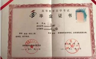 自考本科需要應屆