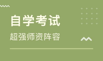 石家莊自考本科輔導(dǎo)班