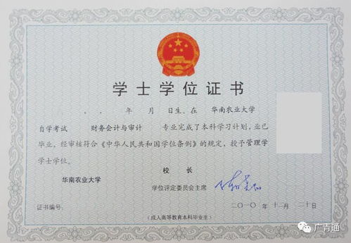 通化自考本科培訓