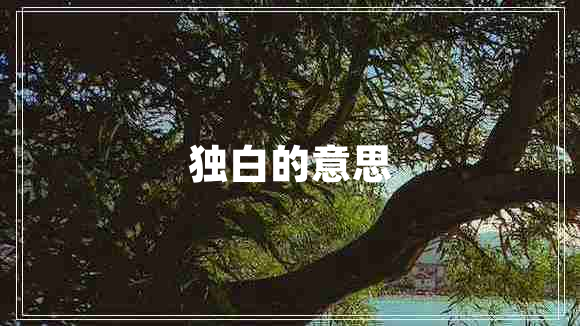 獨(dú)白的意思