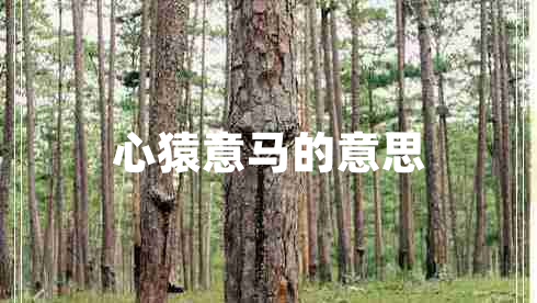 心猿意馬的意思