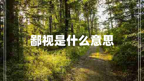 鄙視是什么意思