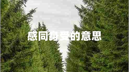 感同身受的意思