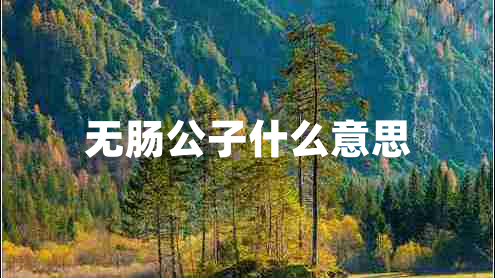 無(wú)腸公子什么意思