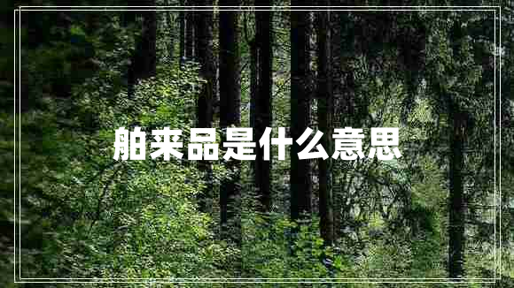 舶來(lái)品是什么意思