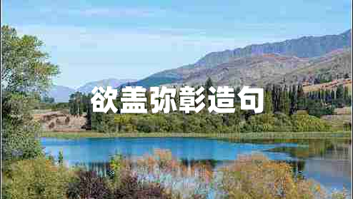 欲蓋彌彰造句